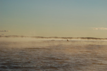 256e77ff-bb91-4938-8eff-b667ae2d721d