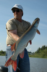 26a86c99-6165-4169-bd46-f91cf192a71e