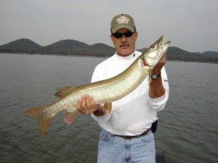 26b22532-0fa3-449d-9cc5-addfed9fcd71