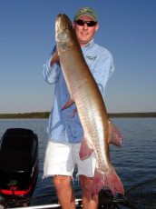 27a3ce1d-dd18-459b-8969-ef4c3bbc5e44