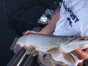 28BAD6E4-1C6E-4C8B-93C9-D7F943A731EE