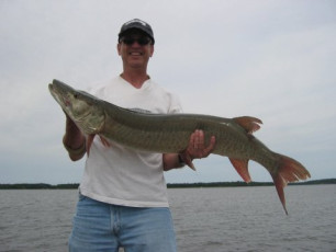 28bd9d87-261f-4b5d-b999-61de96d23242