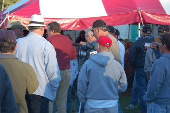 29bbc72d-c4ff-487b-b590-4d0b6130804e