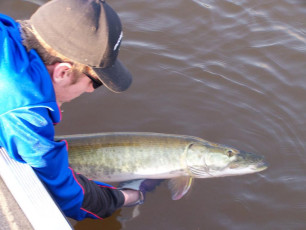 2B9566B8-6582-488B-8B0F-87A2D82FDE3B