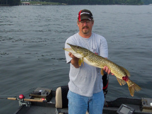 2a817a3a-f3d6-489d-a237-ab72d9674477