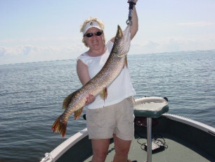 2a9b7595-46ba-4ca2-b218-31e211b2e09b