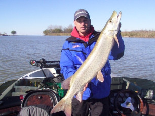 2aff3838-eef8-4708-a7fb-55a0dfca2d85