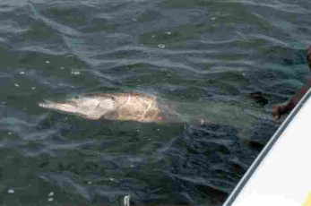 2b53e1bf-8ed9-464e-a467-b5de540f2731