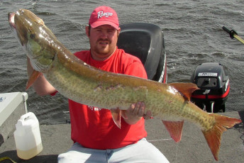 2bc3a2b9-ec28-445e-b771-08dda5816597