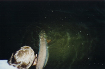 2d8108c9-87fe-428b-8dd2-55f65cd3533e