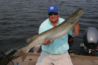 2dff4a52-9808-460c-bc80-85976466c4d1