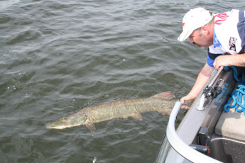 2f067442-af78-442c-a9c1-0fee4e84c381