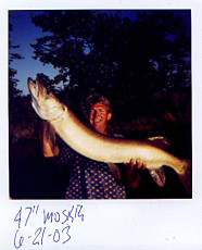 2f2f476e-a344-448e-b0e0-135e7e5dd000