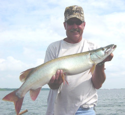 312258f7-5775-45f1-9124-ee2646b4736d