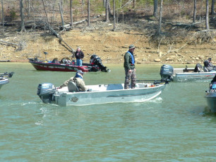 31723467-f2f6-43b6-893c-29554cd09aab