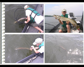 31a455ea-40fc-40b0-bc63-239242b50eb7