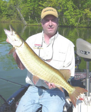 334c4446-0c77-4e25-8658-226b0464495d