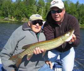 338e8f82-267a-4be9-92e5-a538fc6129c5