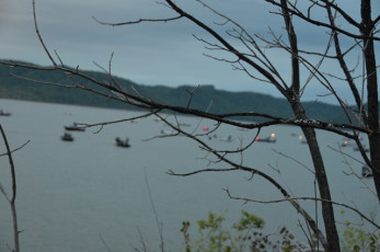 34786B33-8C6F-4C74-9292-9F02E73D2EA4