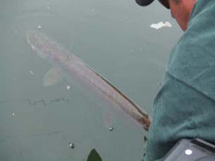 34CE6D6D-B38B-4057-BA22-481B379174A3