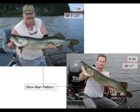 37031513-6109-4421-8aaf-93e469465b43