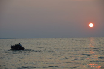 3706491E-991E-47F2-B51F-69A12924F10C