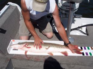 37ac6c8b-9956-4ca8-948b-301f9568678c