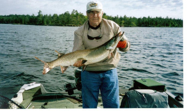 37ca5fac-5bb9-428f-910f-a03101b38a00