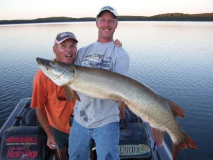 3893ed0c-ae7e-41bd-ae11-84f9e8c32274