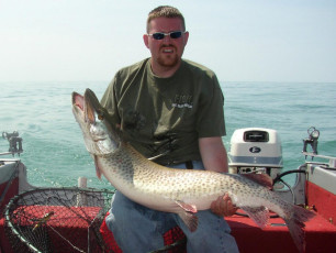 38a61cbb-cc94-4d8d-ad7d-26a3331ea69a