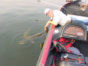 38d11bb9-b4f6-48e7-94b6-6d8e007b0d7b