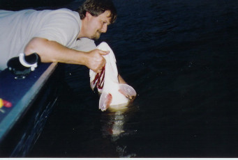 393e4a41-a30e-4f3d-ab83-e7c104e565d5