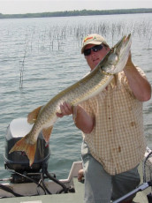 397cf83f-65fe-4647-bca6-d432fcd828fd