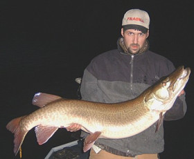 3b35d287-ba8a-485c-b43d-527d5057c0cf