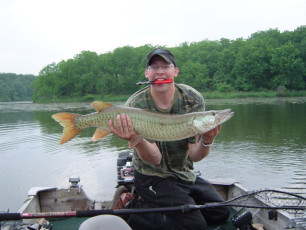 3c195330-441a-4b30-8dc5-b4427302becf