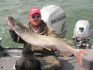 3da26ac8-d68b-49d8-a37c-e5cf119a8782