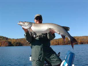 3e662707-54ca-4fa3-882b-b027fc6cac89