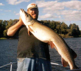 3eb4db7f-ed70-4533-859d-76096ea8c1a7