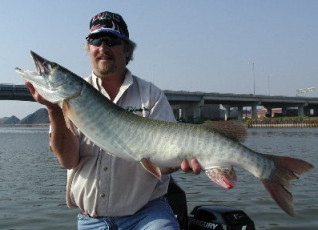 40432975-7631-4e6e-941a-6f50384162ad