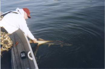 40eee0c7-65d5-48fa-a190-36d41e311bf7