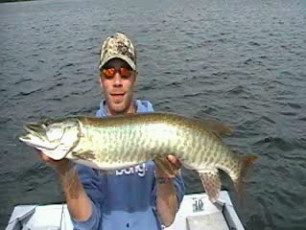 412402FE-E88A-40B3-AB1F-91F5B3B5BA17