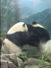 41D5C396-3682-452F-9962-4D685D38725E