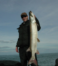 423bfc8c-5c69-495d-908f-c48a3fedd0db