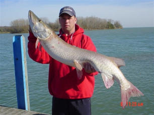 446f3792-2a66-4c23-8a32-95bc0489fb9e