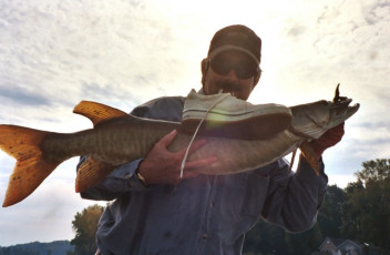 4470ccde-2c00-4a7b-8ae2-d229cce68d61