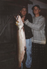 45ff7ddb-77e9-470c-9bed-9f1876de6ad9