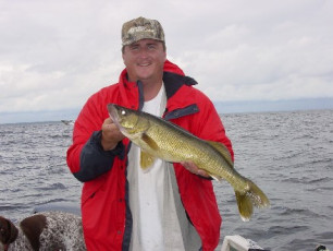 46a1a690-7173-4209-88c4-be7d83351843