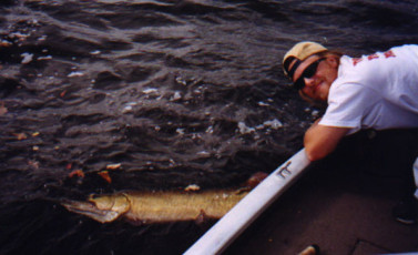 46f4e541-382d-49f4-8fdb-83f6374ec648