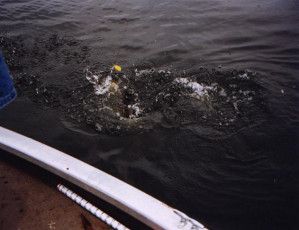 488ea62f-8fd7-4cf1-b4bd-31cc0a3ebc41