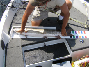 498850a6-27d9-4ac4-b295-7a930ca05600